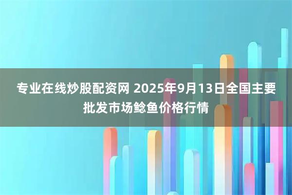 专业在线炒股配资网 2025年9月13日全国主要批发市场鲶鱼价格行情