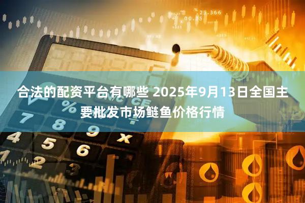 合法的配资平台有哪些 2025年9月13日全国主要批发市场鲢鱼价格行情