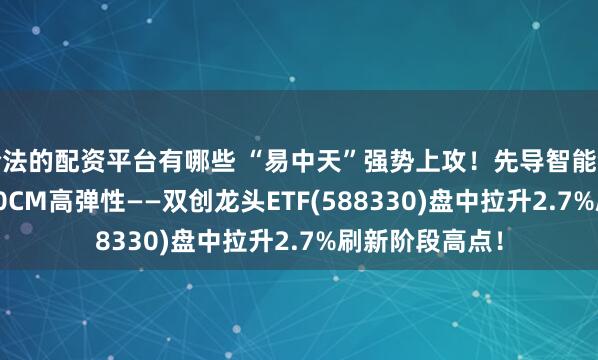 合法的配资平台有哪些 “易中天”强势上攻！先导智能领涨超15%， 20CM高弹性——双创龙头ETF(588330)盘中拉升2.7%刷新阶段高点！